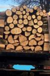 Un nou transport ilegal de material lemnos și o nouă confiscare, la Mihăileni