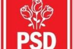 logo PSD web