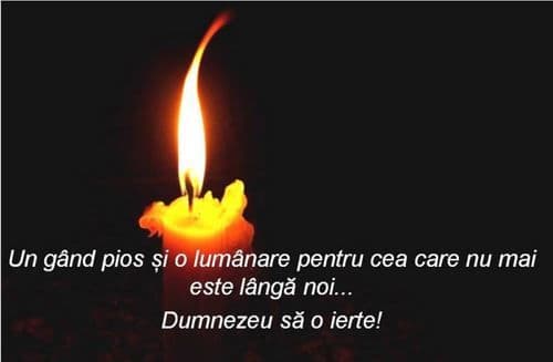 Și-a luat aripi spre cer ANA GRIGORE  - 1
