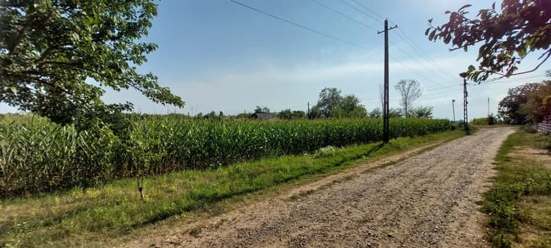 Vând teren intravilan, cu două fronturi stradale și utilități în Dumbrăvița - 2