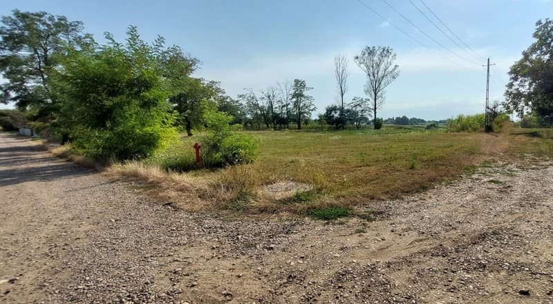 Vând teren, front stradal, în Dumbrăvița, comuna Ibănești - 3