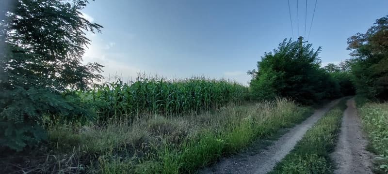 Vând teren în Dumbrăvița, cu acces direct și priveliște deosebită - 4