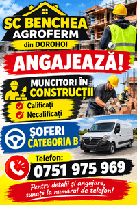Sc Benchea Agroferm angajează muncitori în construcții calificați și necalificați și șoferi categoria B
