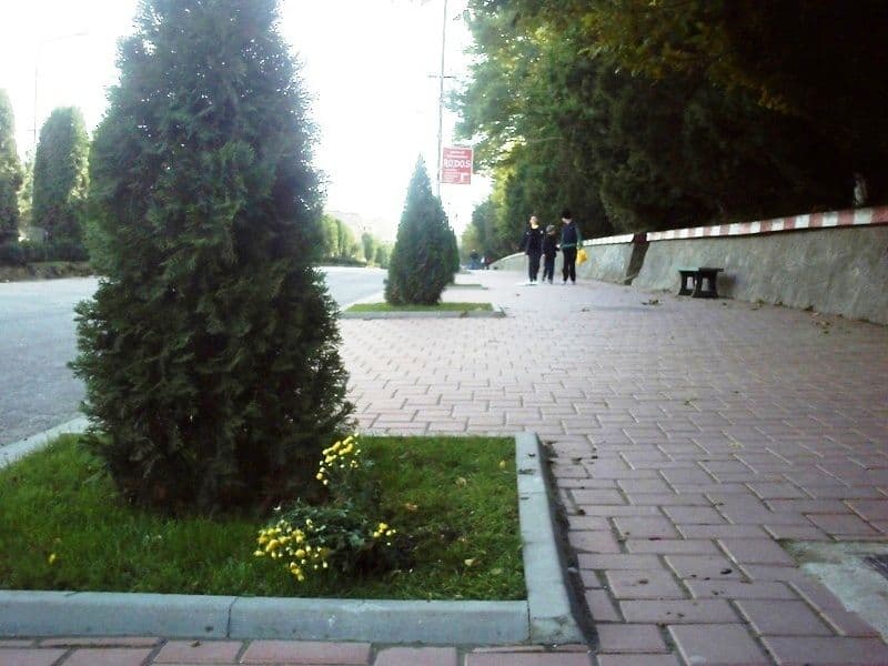 Spaţii verzi vandalizate in Dorohoi
