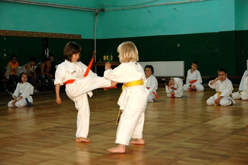 [GALERIE FOTO] Dorohoieni la Campionatul Naţional de Karate ISKF
