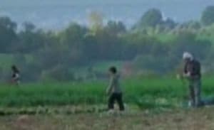 Şapte copii români, sclavi la o fermă din Marea Britanie