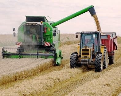 După ce a exportat, România importă acum grâu cu 30% mai scump