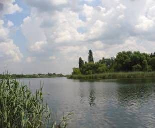 Pescarii ajuta sinistratii din Dorohoi 
