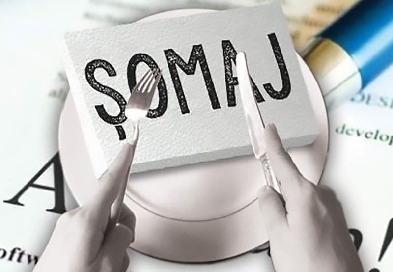 Conditii noi pentru  şomeri din 2011