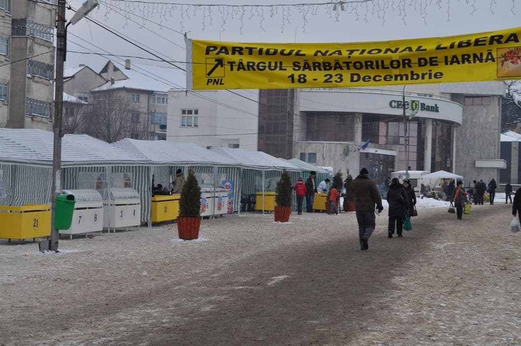 Dorohoi Targ PNL (3)