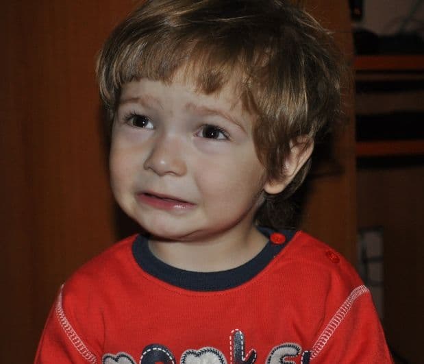 Darius din Dorohoi (2)