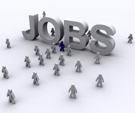 Situatia locurilor de munca vacante aflate in baza de date a AJOFM la data de 24  ianuarie 2011