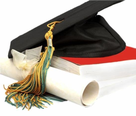 Consilier local PDL, fără diplomă de bacalaureat