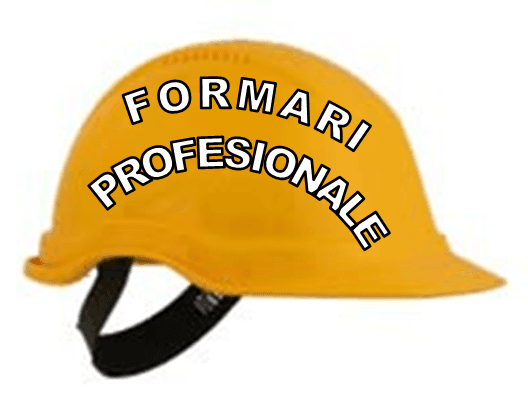 1584 de someri vor beneficia de programe de formare in anul 2011  