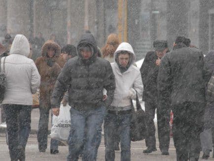 Vântul puternic face ravagii în judeţ