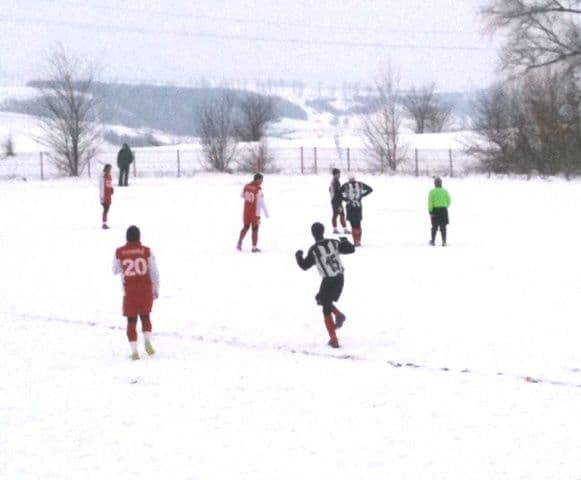 FCM Dorohoi - FC Botosani 1-4