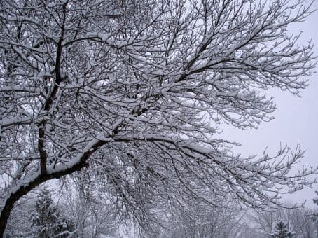 Ninsorile se răresc, dar vremea rămâne rece 