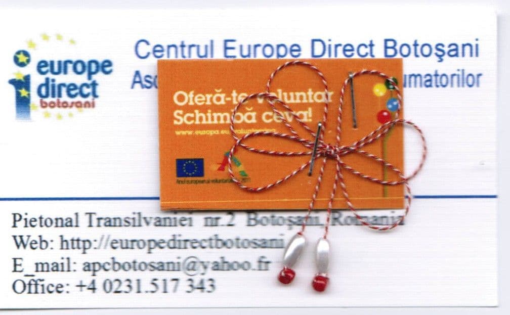 Mărţişor european la Botoşani: „Fii voluntar. Schimbă ceva”