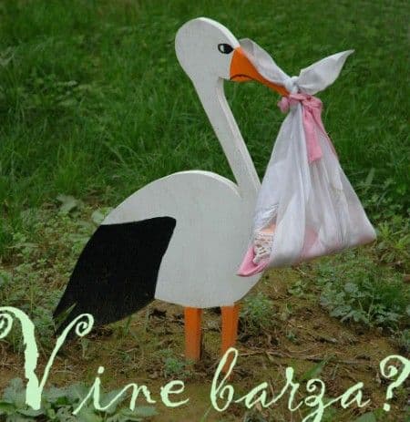 Cum si cand ii explici copilului "cum e cu barza"? 