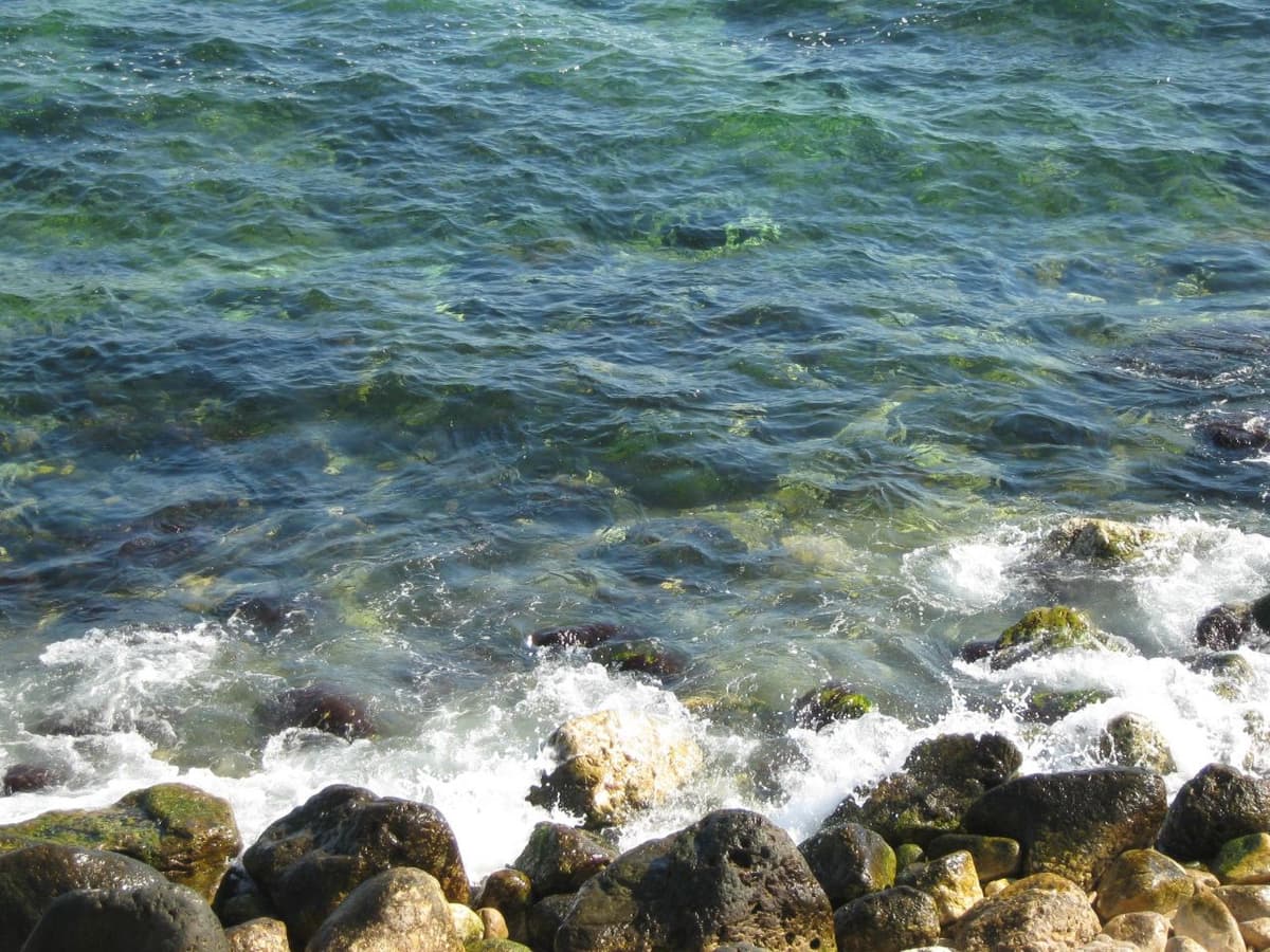 Bomba din Marea Neagra