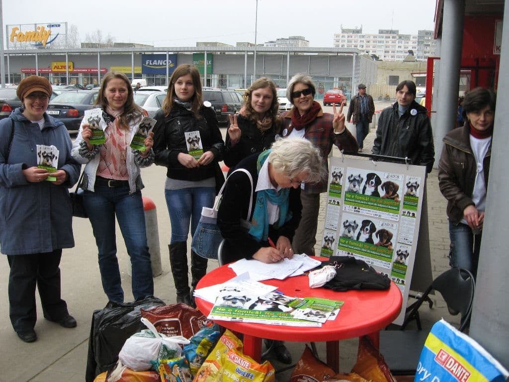 Peste 800   kg de hrană pentru caţei în prima zi