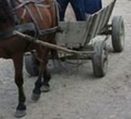 Băutura i-a cauzat moartea 