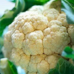 Conopida – gust si sanatate cu putine calorii 