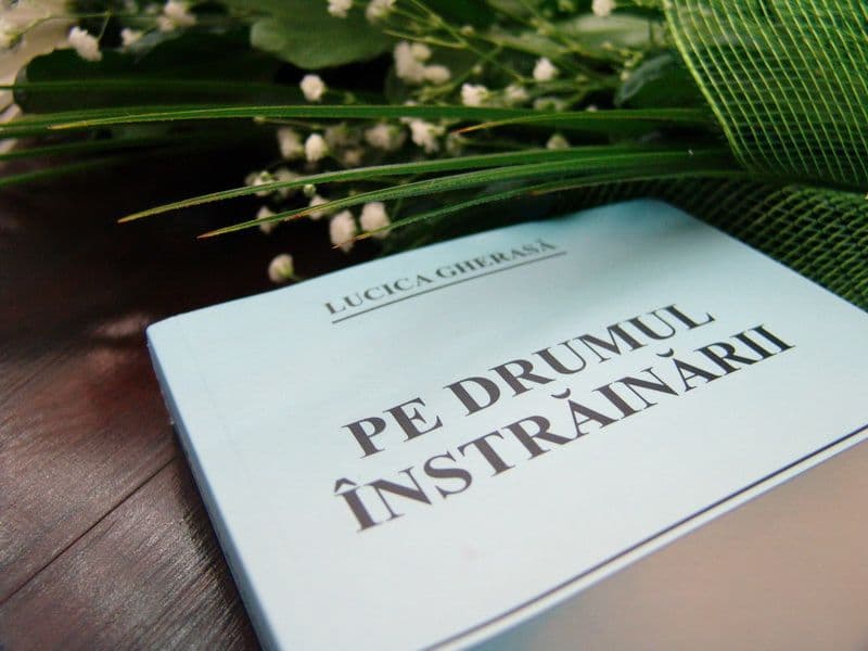 Lansare de carte la Dorohoi : Pe drumul instrainarii