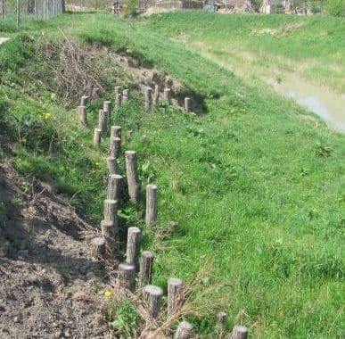 Dorohoiul poate fi inundat din nou : Pârâul Buhai nu a fost decolmatat 