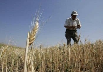  Taxa pe pârloagă nu se mai aplică, avem destule taxe
