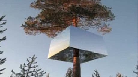 Un hotel inedit, cu camere suspendate în copaci, fascinează turiştii în Suedia