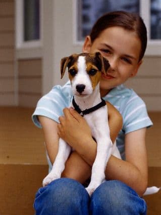 De ce este bine sa ai un animal de companie?