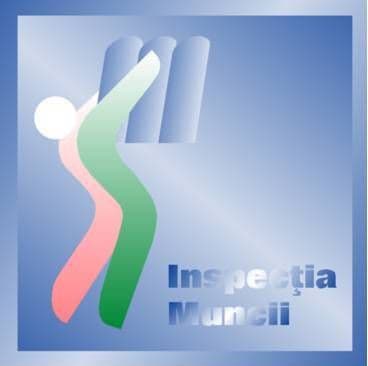 Cercetări făcute în cazul accidentului produs la S.C. CARREMAN ROMANIA S.R.L. BOTOŞANI