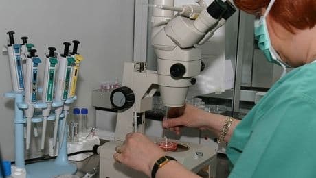 Ministerul Sănătăţii a dat, oficial, startul la fertilizări in vitro pe banii statului