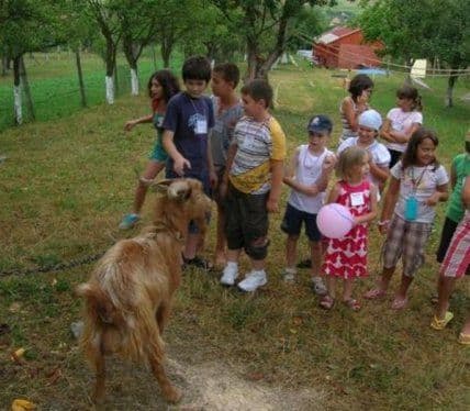 Tabere de engleză și germană – Aventuri pentru Juniori