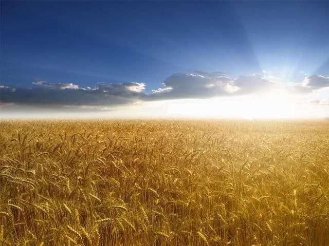 Temperaturile vor depăşi 30 de grade în zilele următoare