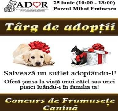 Adoptă un căţelus sau o pisicuţă şi salvezi un suflet!