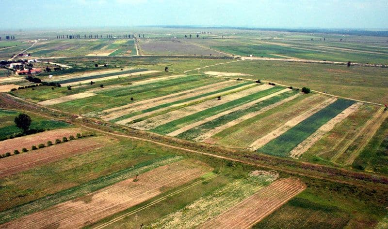 Statul vrea sa cumpere terenuri agricole mici pe care sa le comaseze pentru concesionare