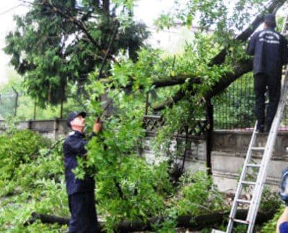 Efectele vântului puternic | 30 de localităţi din judeţul Botoşan