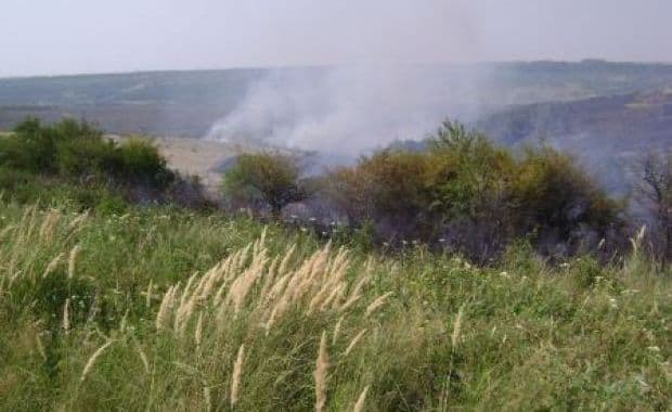Stop incendiilor de vegetaţie uscată!