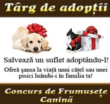 Adoptă un căţelus sau o pisicuţă şi salvezi un suflet! 