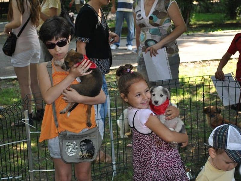 Ador le multumeste tutror celor care au participat sambata la concursul de frumusete canina! - FOTO