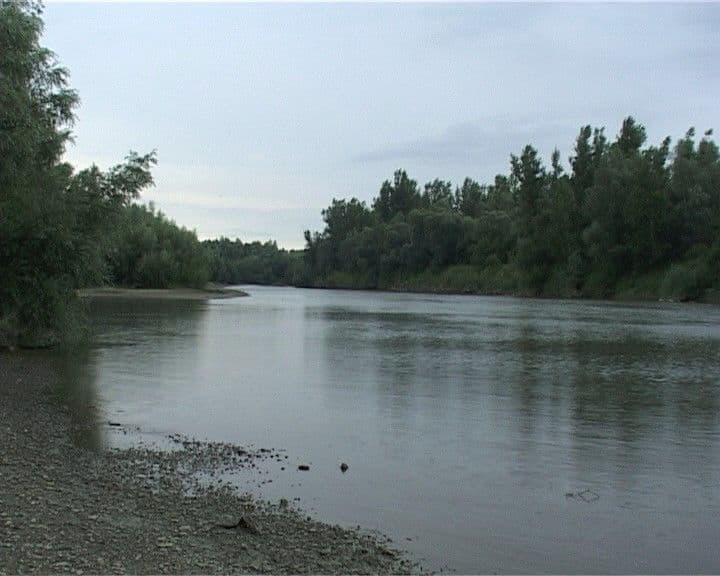 Pescari reţinuţi de poliţiştii de frontieră botoşăneni pentru braconaj piscicol
