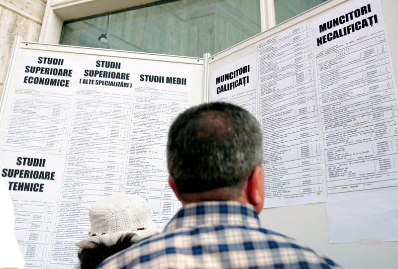 Peste 3.300 de şomeri şi-au găsit loc de muncă în prima jumătatea a anului