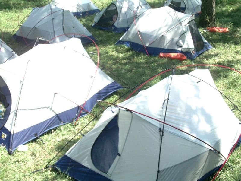 Centrul „Jurjac” s-a mutat pentru o zi la Pini