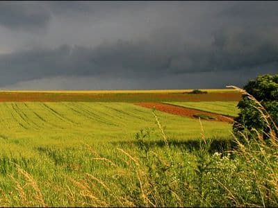 România ocupă primul loc la teren agricol
