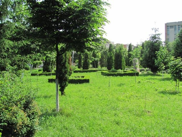  Primăriile care nu au întocmit Registrul de Spații Verzi vor primi amenzi