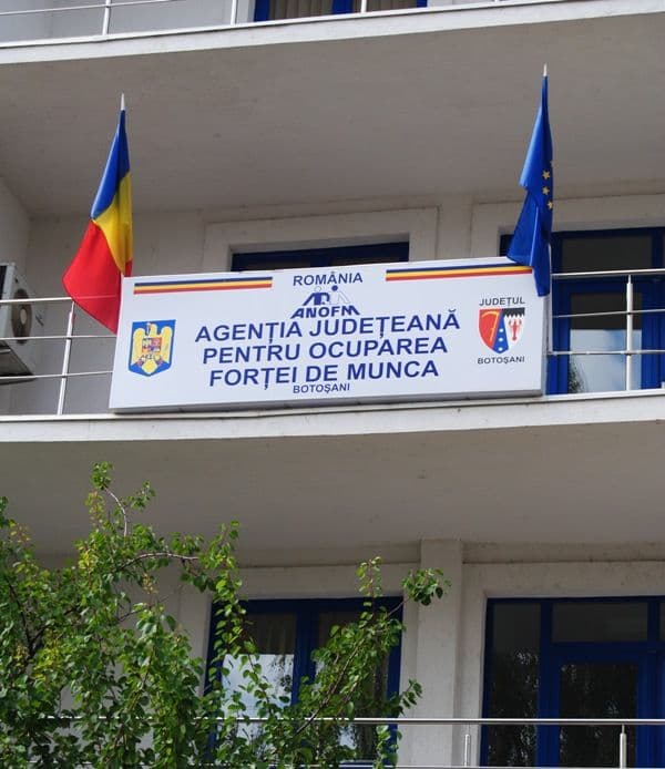 Anchetă la AJOFM Botoşani : Acte de muncă în alb furate şi vândute pe bani grei 