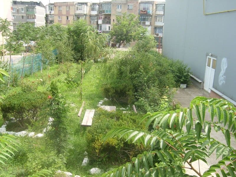 Școala nr.8 Dorohoi vrea să își extindă spațiul verde