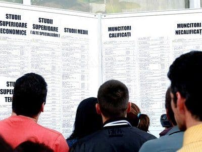 AJOFM Botoşani: 85 de locuri de muncă vacante săptămâna aceasta